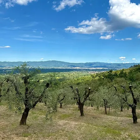 La Casa Nel Bosco Arezzo